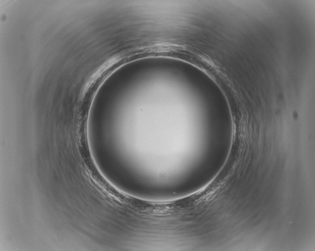 X0000054371410200507291035