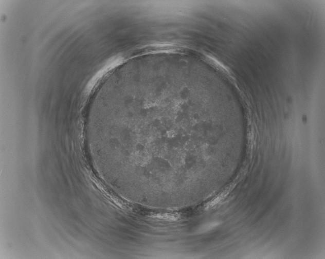 X0000054371411200507291035