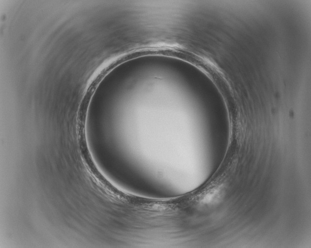 X0000054371412200507291035