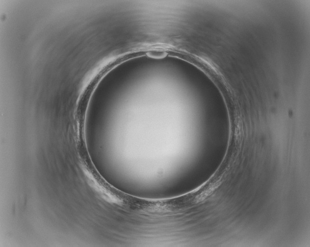 X0000054371414200507291035