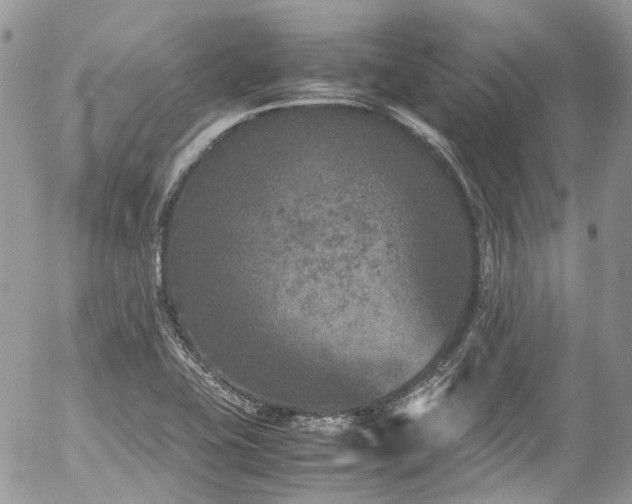 X0000054371415200507291035