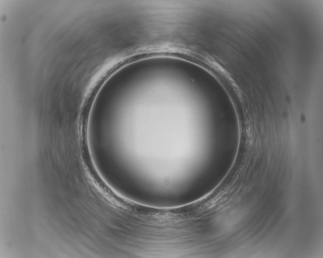 X0000054371416200507291035