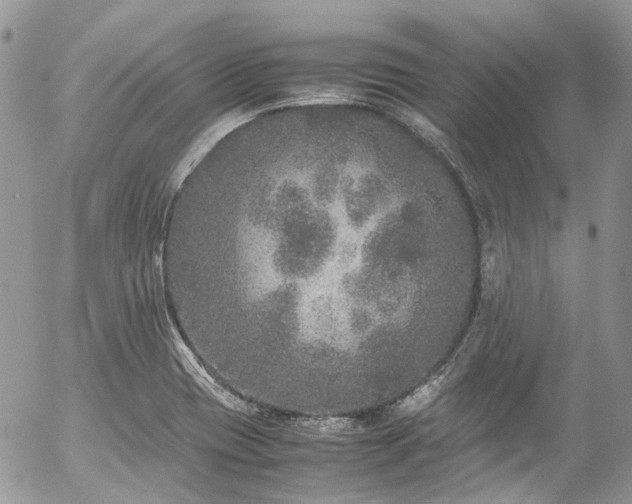 X0000054371417200507291035