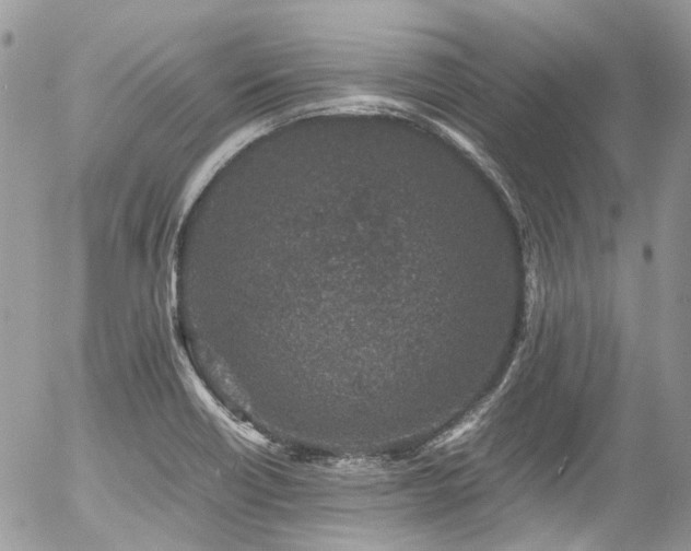 X0000054371418200507291035