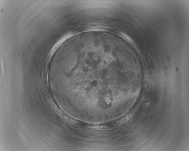 X0000054371419200507291035