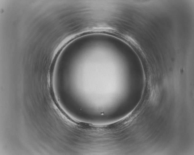 X0000054371420200507291035