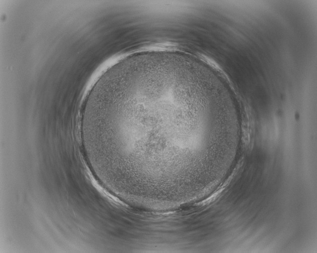 X0000054371421200507291035