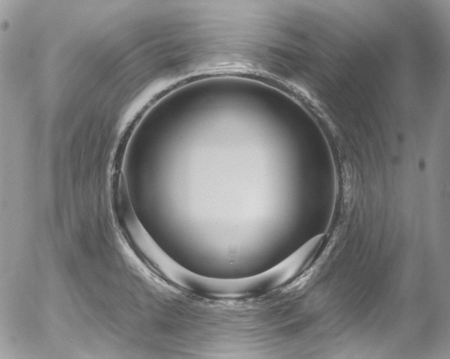 X0000054371422200507291035