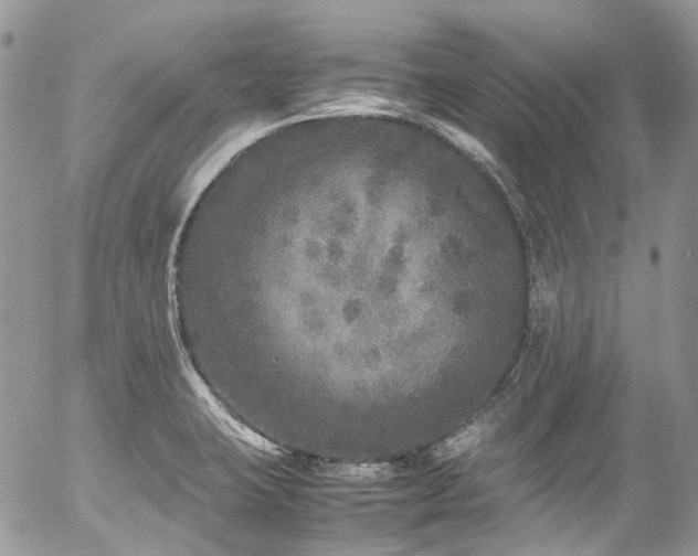 X0000054371423200507291035