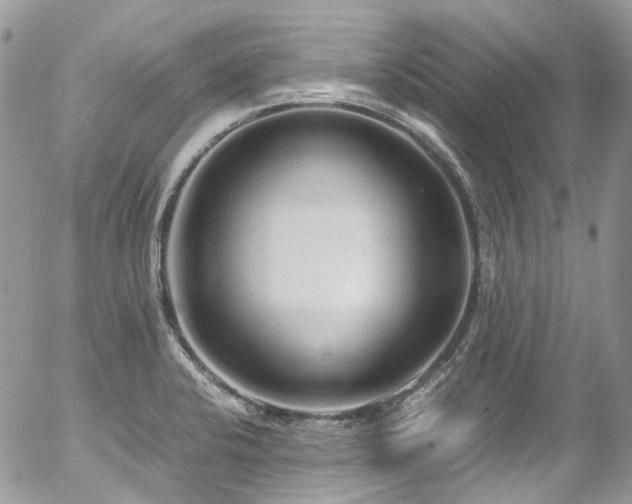 X0000054371424200507291035