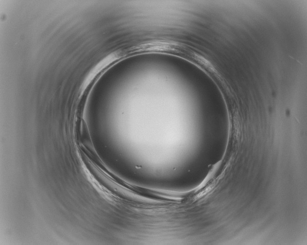 X0000054371426200507291035