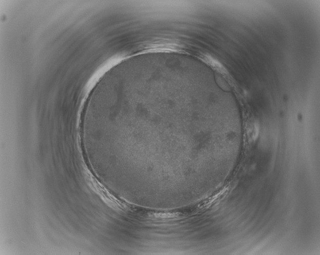 X0000054371427200507291035