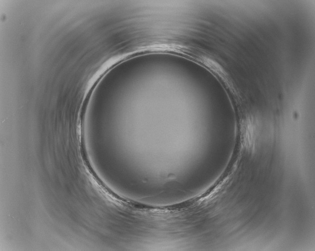 X0000054371428200507291035