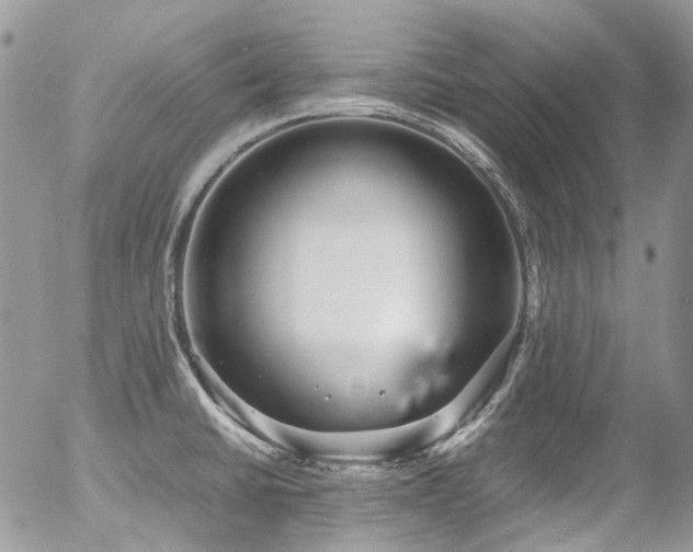 X0000054371430200507291035