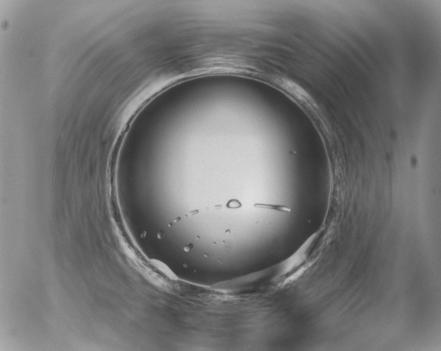 X0000054371431200507291035