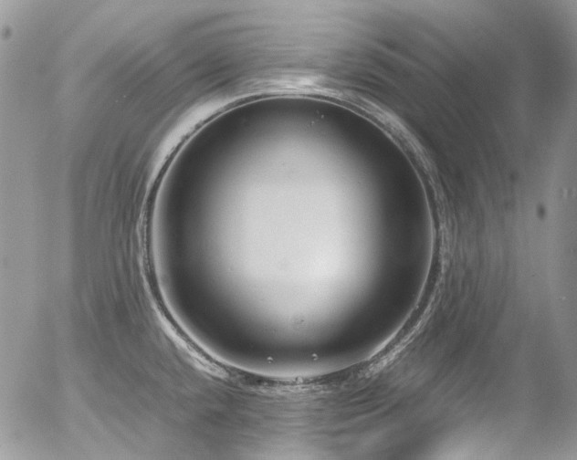 X0000054371432200507291035