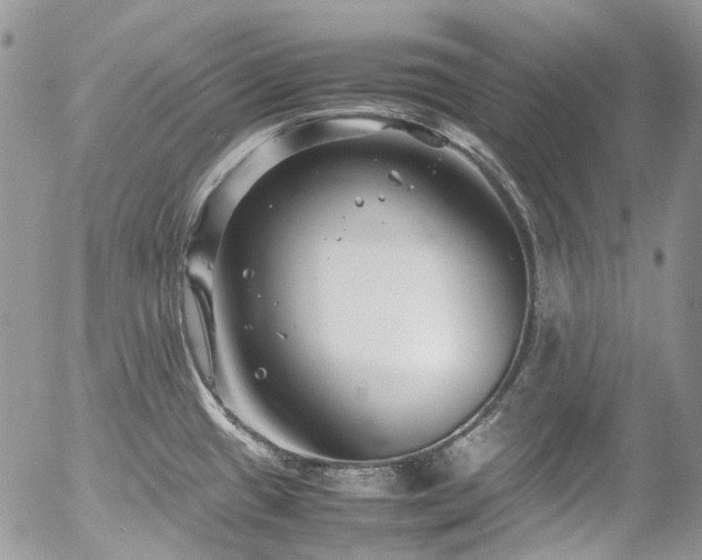 X0000054371433200507291035