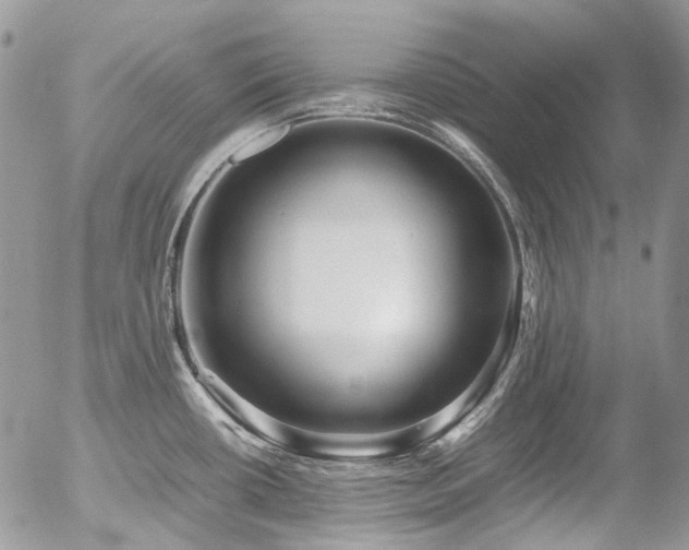 X0000054371434200507291035