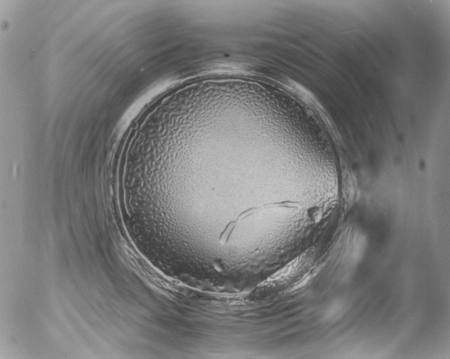 X0000054371435200507291035