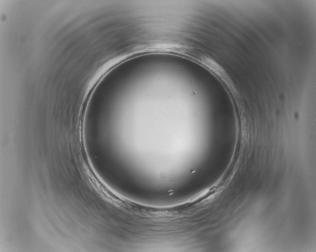 X0000054371436200507291035