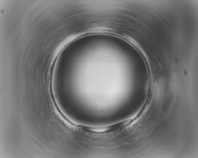 X0000054371437200507291035