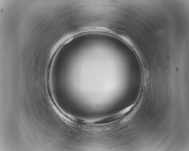 X0000054371438200507291035