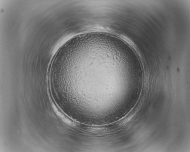 X0000054371439200507291035