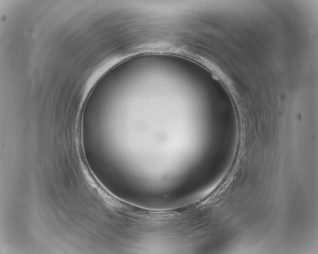 X0000054371440200507291035