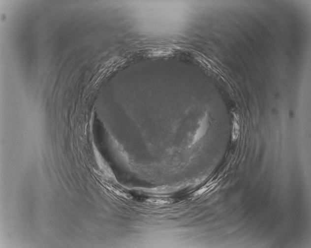 X0000054371441200507291035