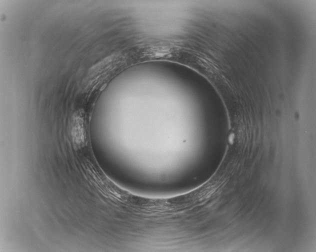 X0000054371442200507291035