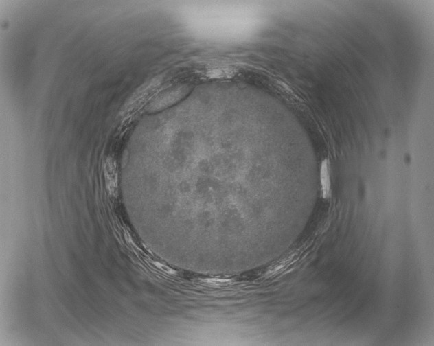 X0000054371443200507291035