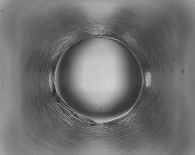 X0000054371444200507291035