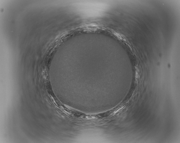 X0000054371445200507291035