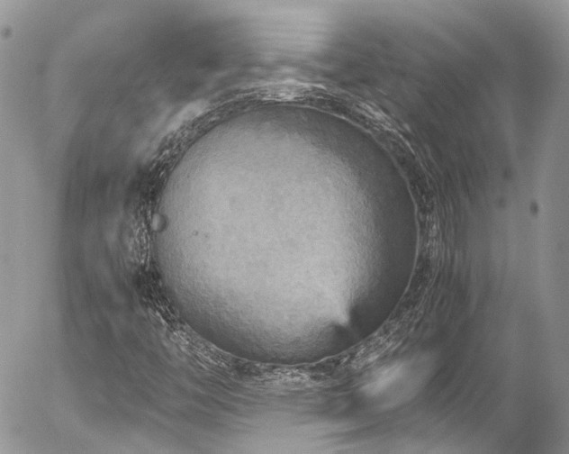 X0000054371446200507291035