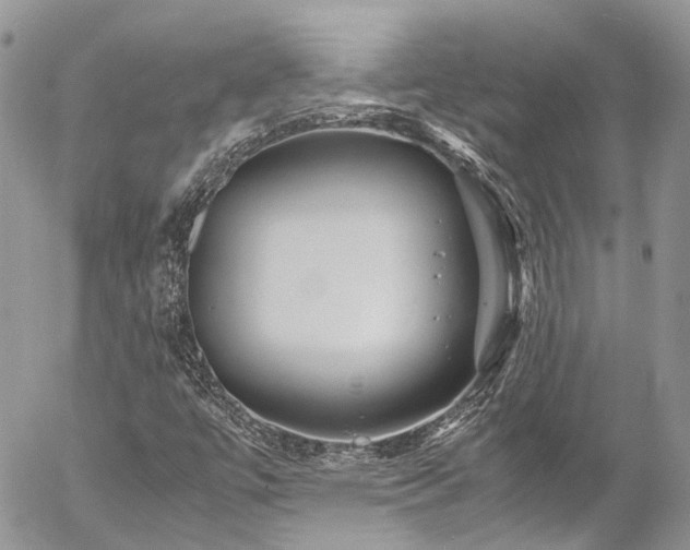 X0000054371447200507291035