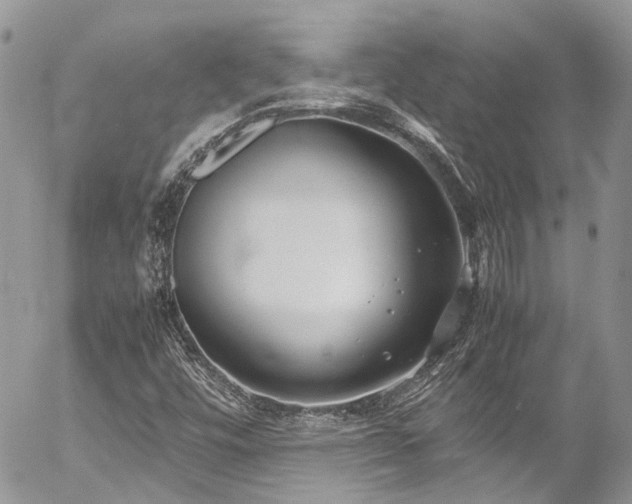 X0000054371448200507291035