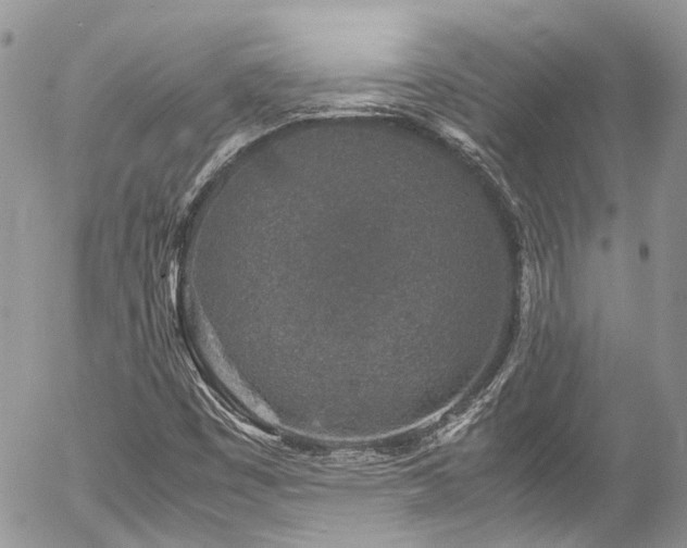 X0000054371449200507291035