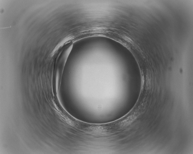 X0000054371450200507291035