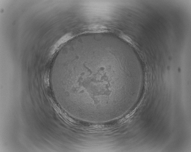 X0000054371451200507291034