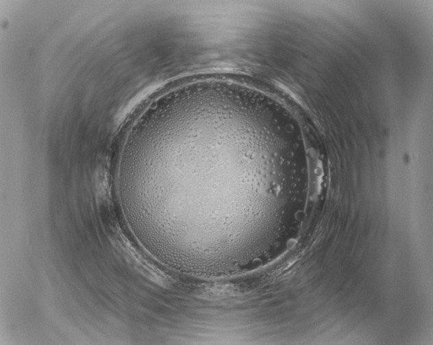 X0000054371452200507291034