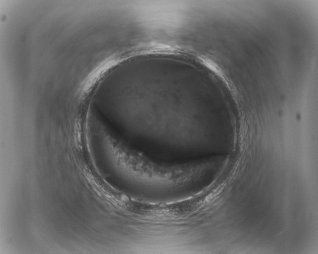 X0000054371455200507291034