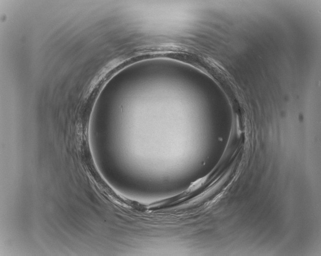 X0000054371457200507291034