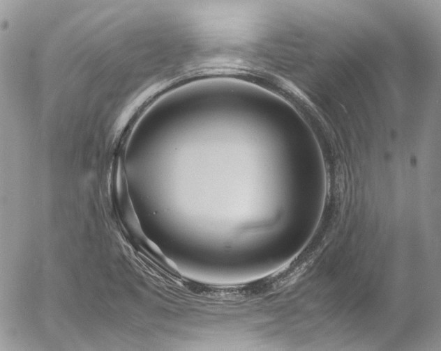 X0000054371461200507291034