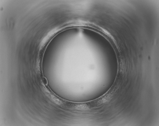 X0000054371464200507291034