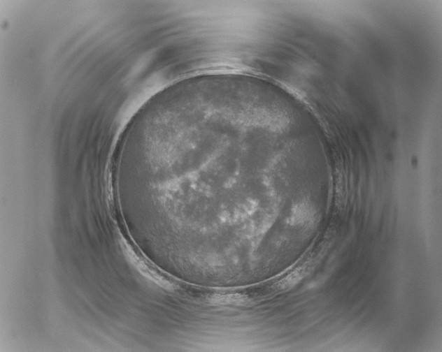 X0000054371466200507291034