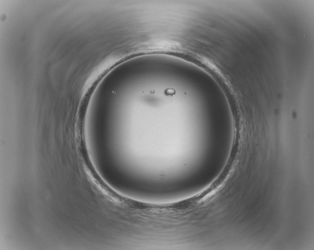 X0000054371469200507291034