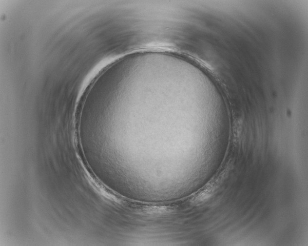 X0000054371470200507291034