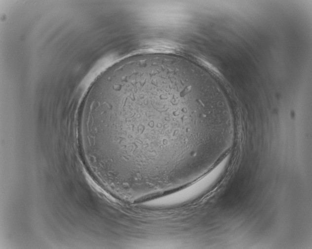 X0000054371471200507291034