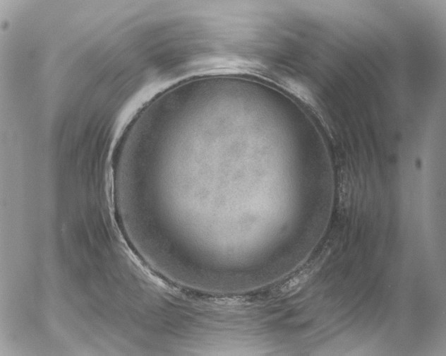 X0000054371472200507291034