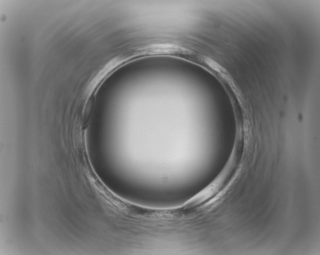 X0000054371473200507291034